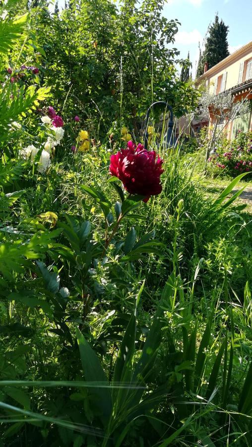 Lolifan En Provence Bed & Breakfast Brignoles Luaran gambar
